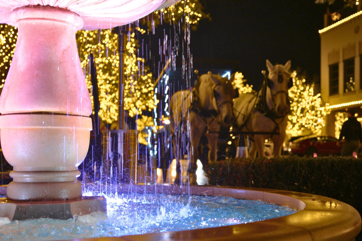 Lit fountain with carriage horses passing behind